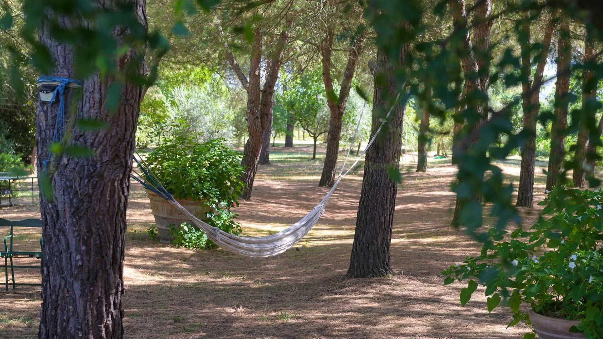 Country house Villa Vignacce - Boutique Country Resort Bettolle